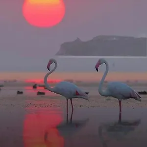 Sardinia Affittacamere